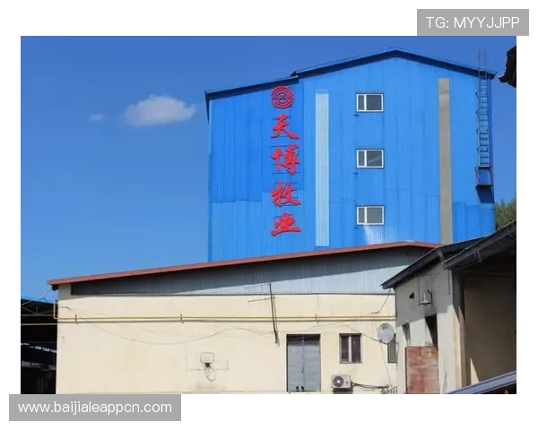 云顶集团官网：探索云顶集团的核心业务板块与行业影响力