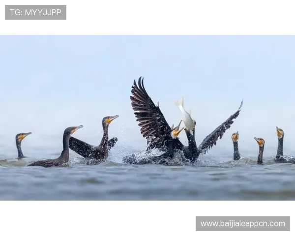 掌握K8捕鱼技巧实现游戏中高分捕鱼的实用攻略